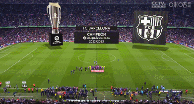 萨巴蒂尼：我曾经买来一些醉汉，但他们踢出了精彩的足球